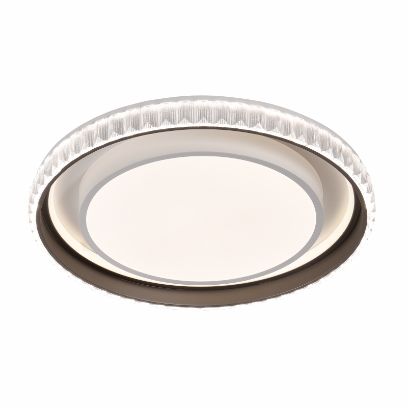 愛目銀河 大圓 白底